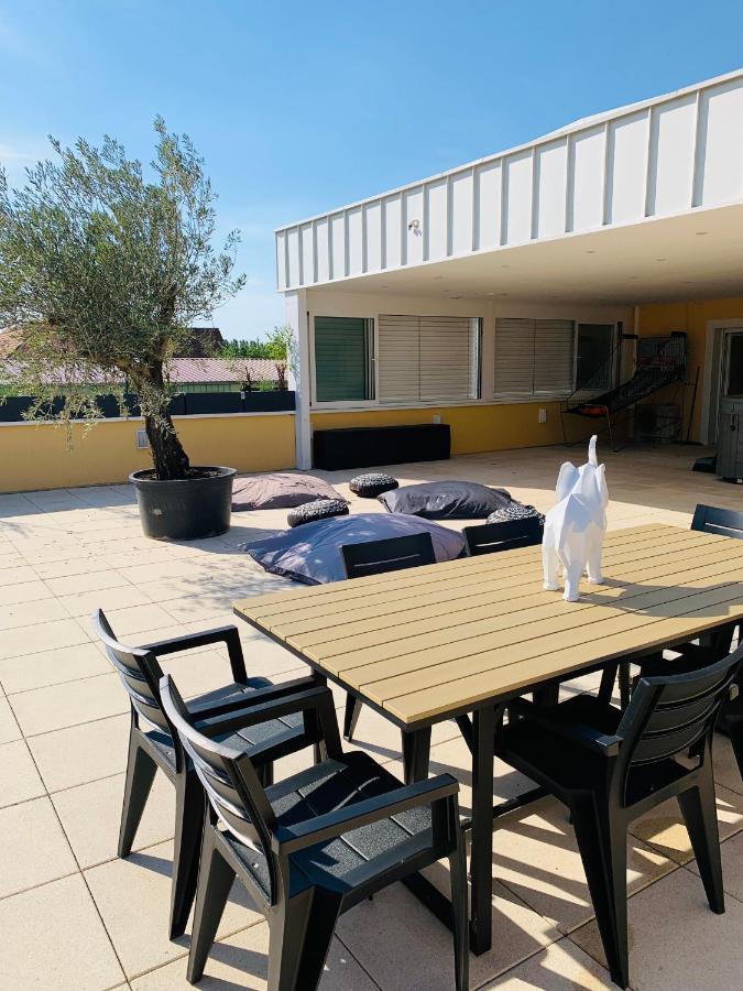 La Terrasse Du Parc Lejlighed Marckolsheim Eksteriør billede