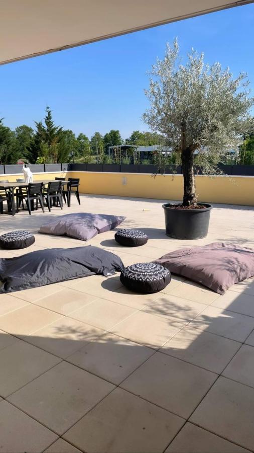 La Terrasse Du Parc Lejlighed Marckolsheim Eksteriør billede